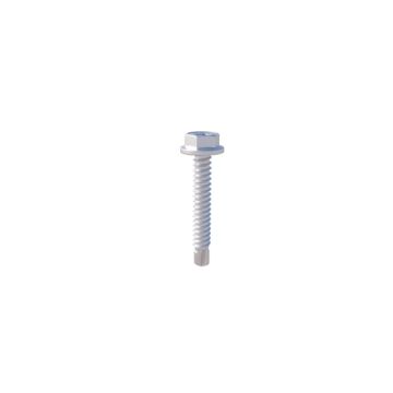 Self drilling screw 6,3 x 42 mm - SW10/T30